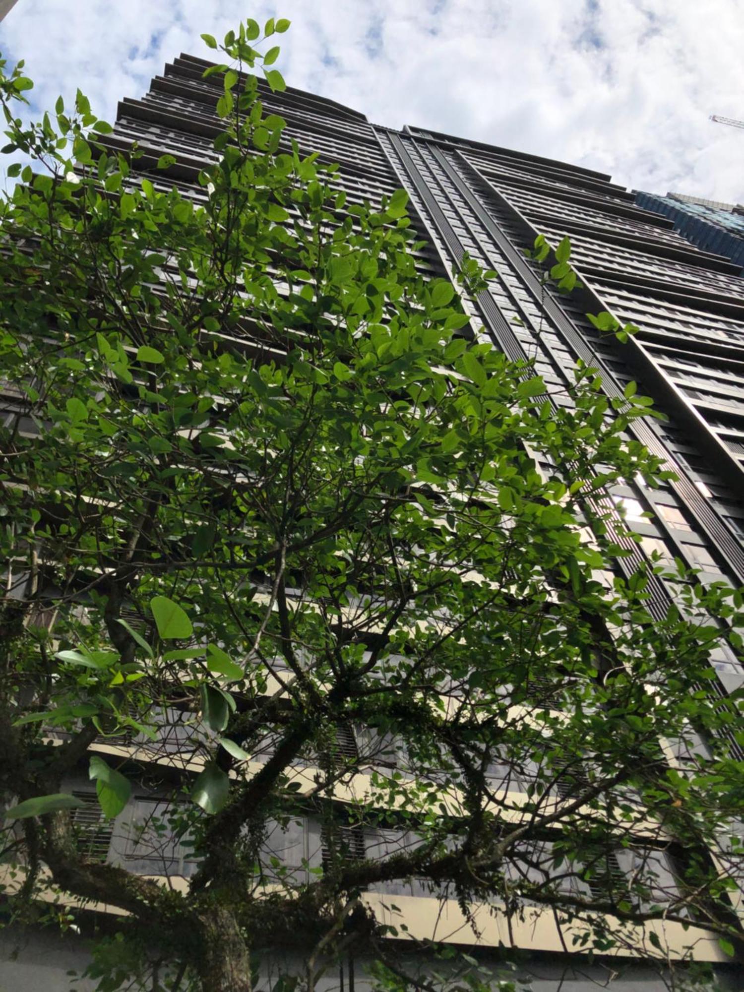 8 Kia Peng Suites Klcc By Luna كوالالمبور المظهر الخارجي الصورة